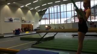Auerbach op/naast de balk, ilona