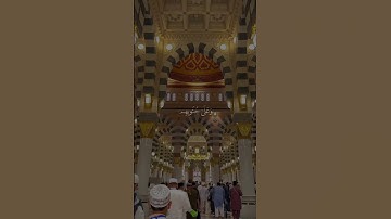 اكتب شي تؤجر عليه🤍 🍂#علي_جابر #قرآن #قران_كريم #اكسبلور #تلاوة_خاشعة #راحة_نفسية