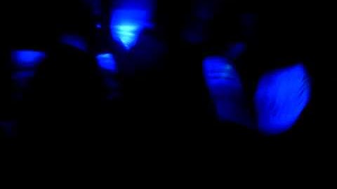 Club Syntax Error Halloween theme: Yatta