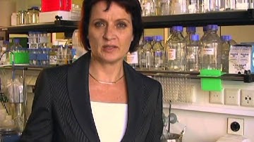 University of ULM Clinical Study