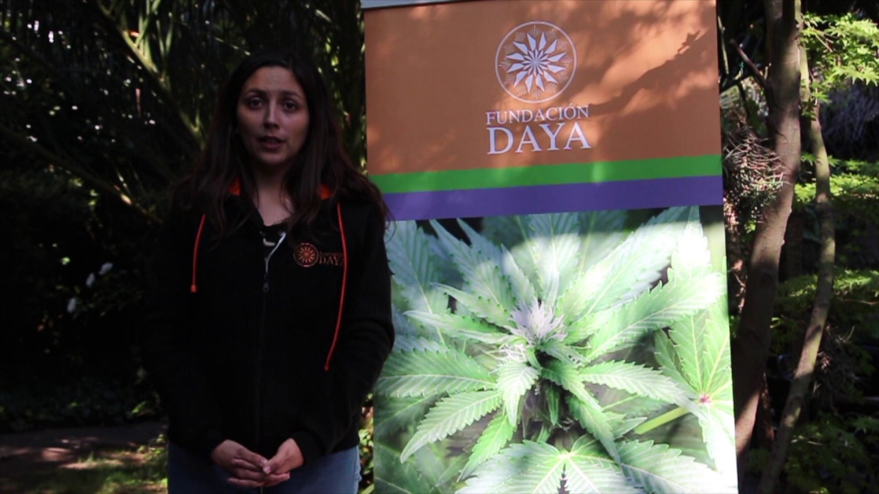 5 cosas que debes saber sobre Sativex