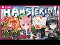 【ハムステリア】激ムズ爆走ハムゲーム！！？ゴールできるのか！？【#みあたみ生配信 】