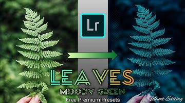 Leaf Editing In Lightroom| Lightroom Moody Green Editing| Leaf Moody Green Presets|DarkGreen Presets