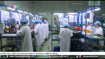 Kim ngạch xuất khẩu 6 tháng đầu năm tăng gần 19% | VOVTV