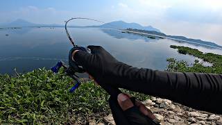 GANASNYA IKAN TOMAN & PBASS DISPOT INI, SPOT MENJANJIKAN DIPENUHI IKAN² TARGET DAN PEMANDANGAN INDAH screenshot 4