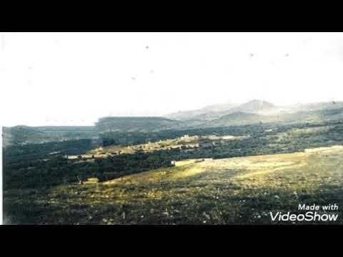 صور مدينة دمنات سنة 1893 1913