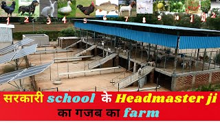 Sarkari school  के headmaster ji का गजब का Farming Modal  / multilayer farming