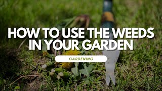 How To Use The Weeds In Your Garden