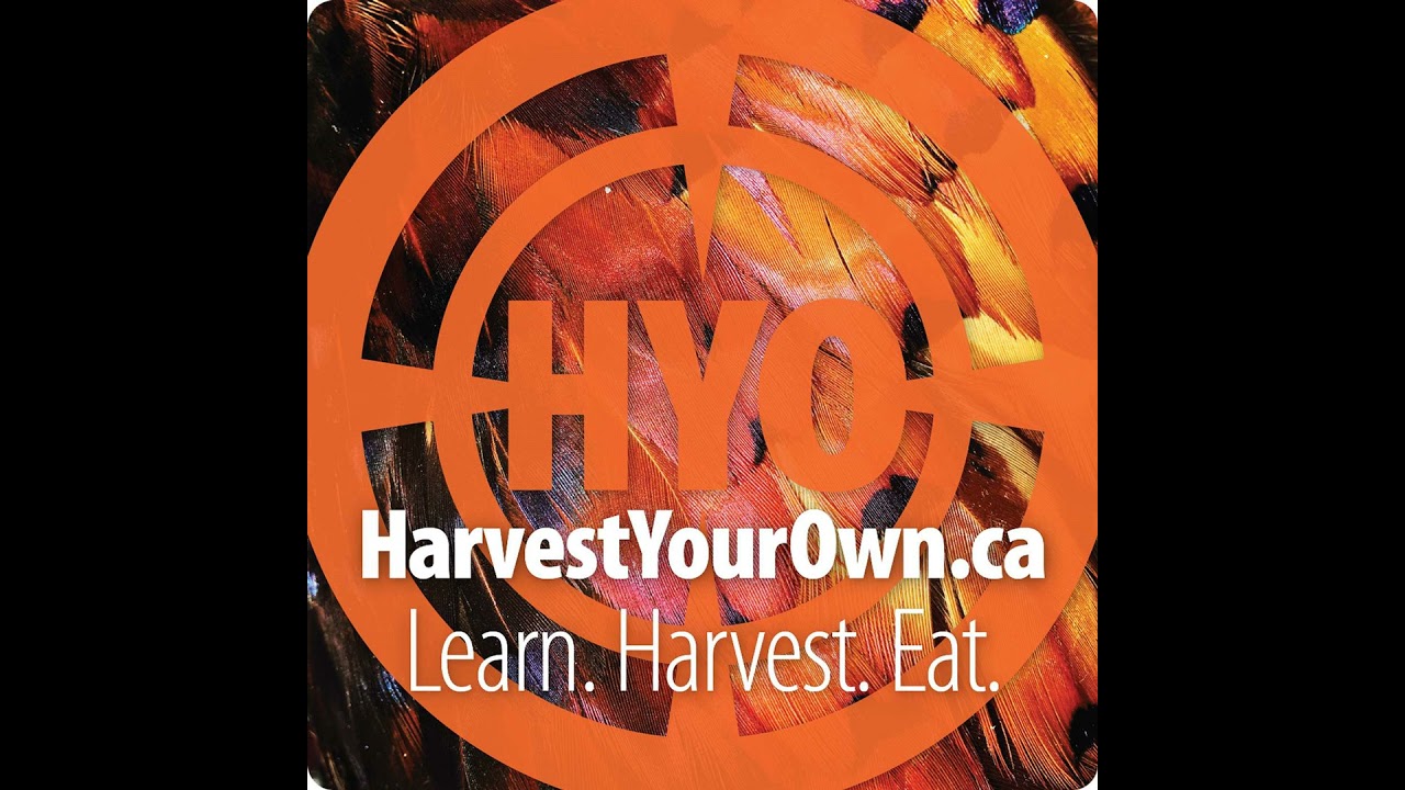 Episode 40: Dan Mosier - Everything Shotgun