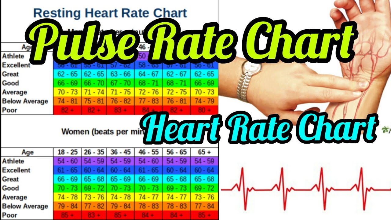 Heart Rate Chart Pulse Rate Chart Normal Average Poor Youtube