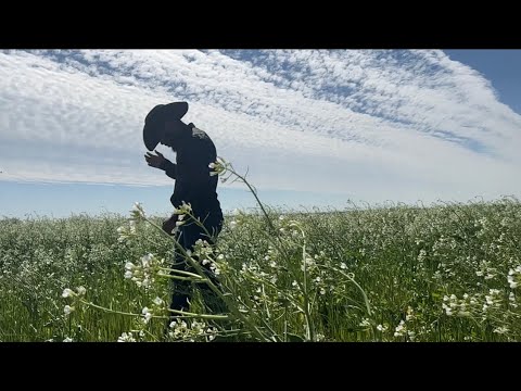 Tyrae Pelt -Rising Up (Music Video)