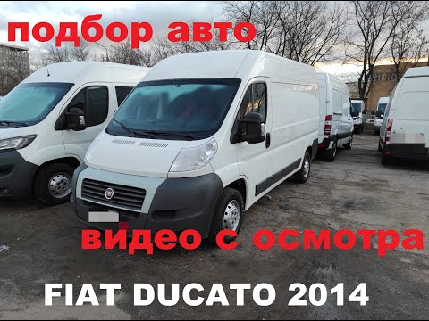 Подбор авто. Осмотр Fiat Ducato 2014