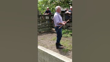 Optimizing Sheep and Beef Farming: Insights from Ian Walsh