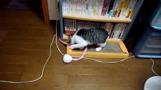 2019071501