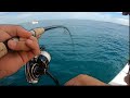 Fishing Ponce Inlet For Mangrove Snapper