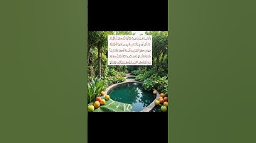 تلاوة هادئة خاشعة محمد اللحيدان😌