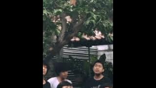 Anneth - MUNGKIN HARI INI ESOK ATAU NANTI (Cover by Scalavacoustic)