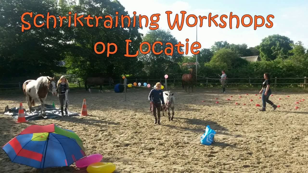 Workshops Schriktraining Voor Een Betere Band Met Je Paard