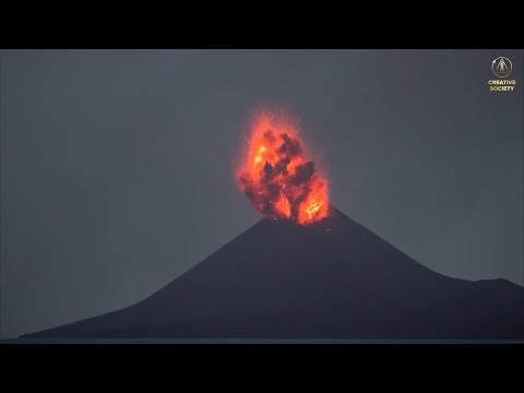 Video: Postup a termín úhrady prepravnej dane právnickými osobami