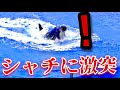 【会場騒然】シャチと激突..ボイコット..　神戸須磨シーワールド　オルカパフォーマンス　ラン　ステラ