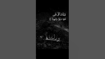 #قرآن #تلاوة_خاشعة #تلاوة_مؤثرة #fyp #foryou #quran