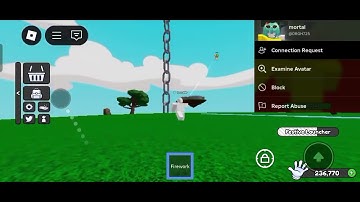 Exploiter No. 7 User:DRGH725 Exploit:Hitbox expander,flying,slap farm