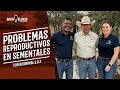 Problemas reproductivos en sementales con BioAnimal SAS