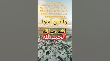 سورة البقرة 165 #الله #اكسبلور #المصحف#حالات_واتس #allah #usa#usarmy #ussoldiers #uk#indian#quiztime