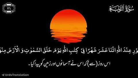 Surah At-Tawbah | سورة التوبة | Ayat 36 to 40 | Quran Urdu Translation | قرآن اردو ترجمہ