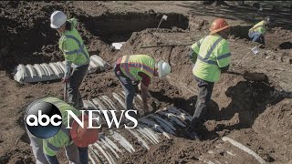 24 unmarked graves uncovered in probe of 1921 Tulsa Race Massacre