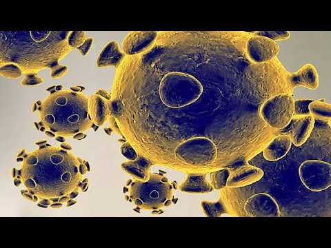 Les virus, qu'est-ce que c'est? Combien y en a-t-il? Et pourquoi veulent-ils nous tuer? Les virus, qu'est-ce que c'est? Combien y en a-t-il? Et pourquoi veulent-ils nous tuer?