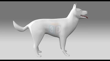 Rhino for T-Spline & V-Ray Rhino (#10)