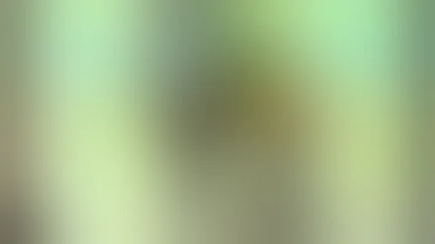 Hockeyfighters.cz  Craig Berube vs Dwight Schofield.wmv