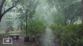 Rainy Day Walking Tour in the Park | Heavy Rain Sounds for Sleeping |Rain Walks Compilation