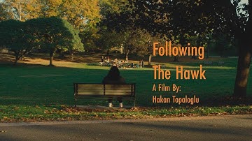 Following the Hawk | Short Film
