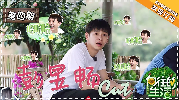 《嚮往的生活2》第四期 彭昱暢 Cut：“啊哈哈哈哈哈哈哈” 笑出雞啼聲！彭昱暢拿錯了“黃花白”三隻雞的劇本？ Back to Field S02【湖南衛視官方頻道】 - 天天要聞