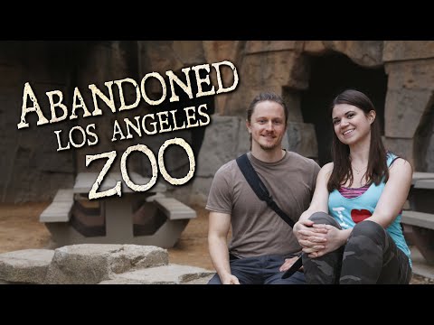 Video: Zoo katika los angeles