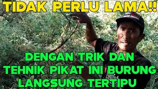 GUNAKAN CARA INI!! BILA BURUNG SUSAH TURUN DAN SUSAH NANGKRING DI PULUT