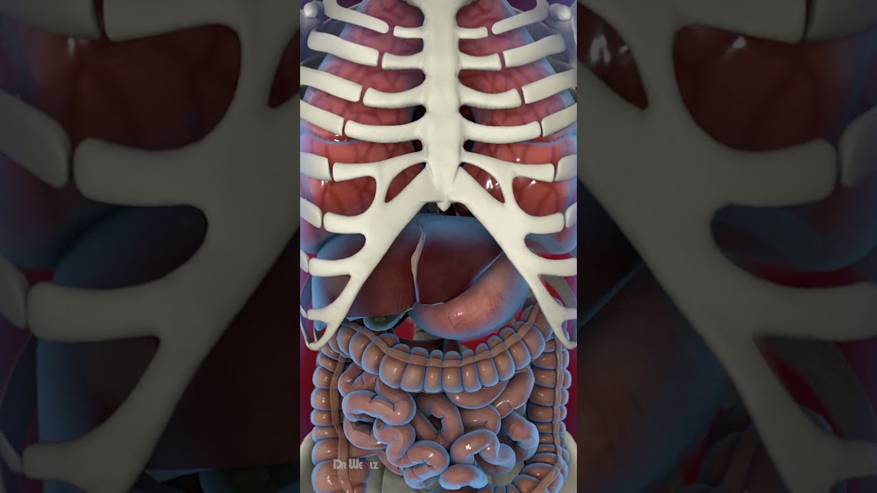 What Happens When You Don T Eat For A Week FASTING 