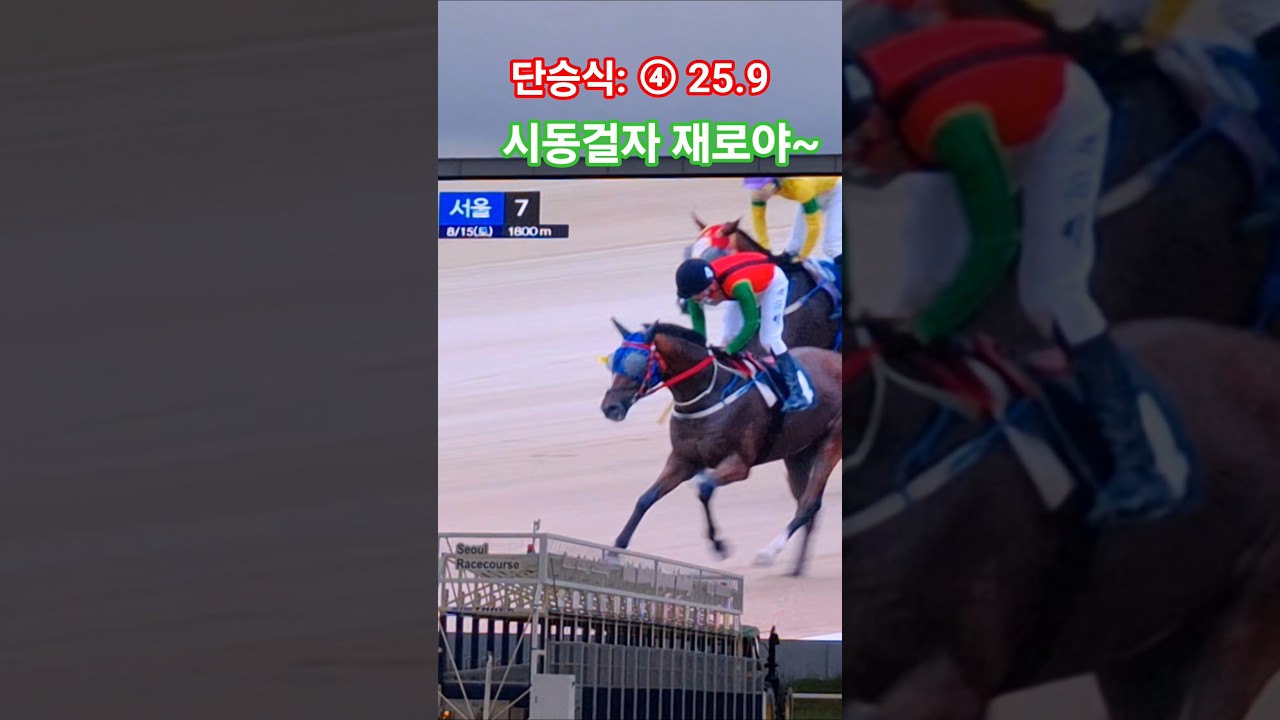당연한 말은 왜빼서ㅠㅠ #경마 #말 #달려라말 #shorts