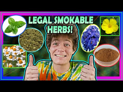 𝐓𝐨𝐩 𝟓 𝐋𝐞𝐠𝐚𝐥 𝐇𝐞𝐫𝐛𝐬 𝐟𝐨𝐫 𝐒𝐦𝐨𝐤𝐢𝐧𝐠 🌿 Marijuana Alternatives & Herbal Smoke Blends