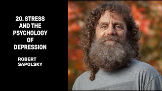 20. Stress and the Psychology of Depression - Robert Sapolsky