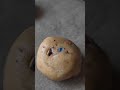 Welke koekjessmaak wint? M&amp;M, Biscoff, Oreo, citroen? Celina's 30 min koekjes recept.