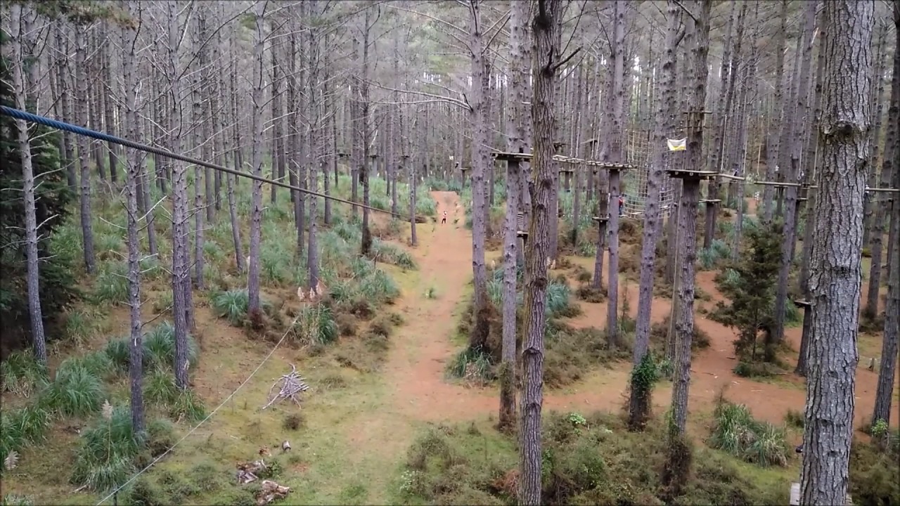 Tree Adventures (Auckland) tasan rope 100m!! YouTube