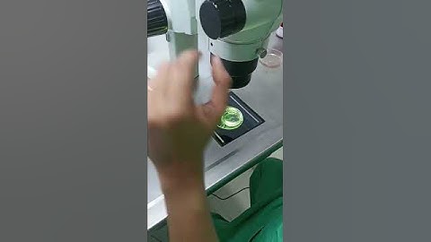 HUMAN EGG         #shorts#viral#shortvideo