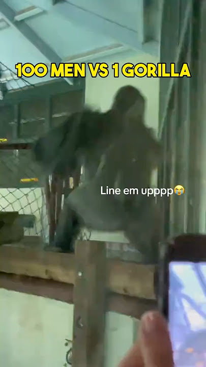 100 Men vs 1 Gorilla (SOLVED)
