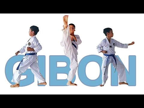 Taekwondo, Gibon (Kibon) 1, 2 dan 3, latihan dasar untuk anak