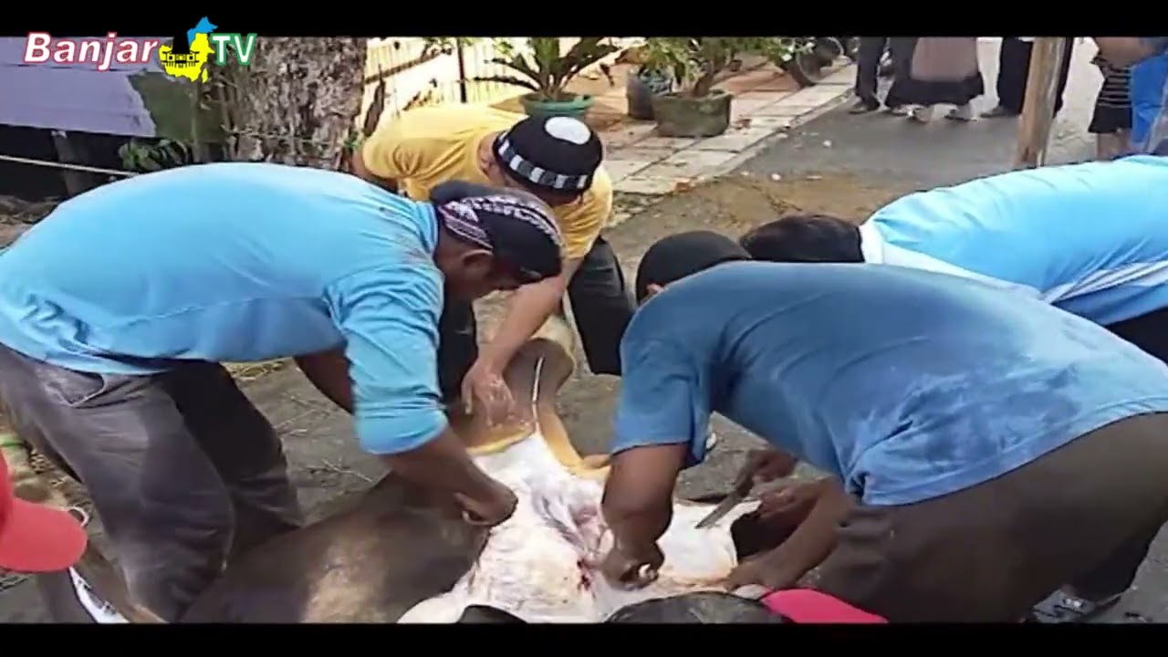 DORONG JURU SEMBELIHHEWAN KURBAN BERSERTIFIKASI HALAL