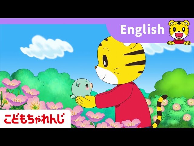 年長さん向け英語講座＜じゃんぷ English＞たいけん動画 お世話ペット