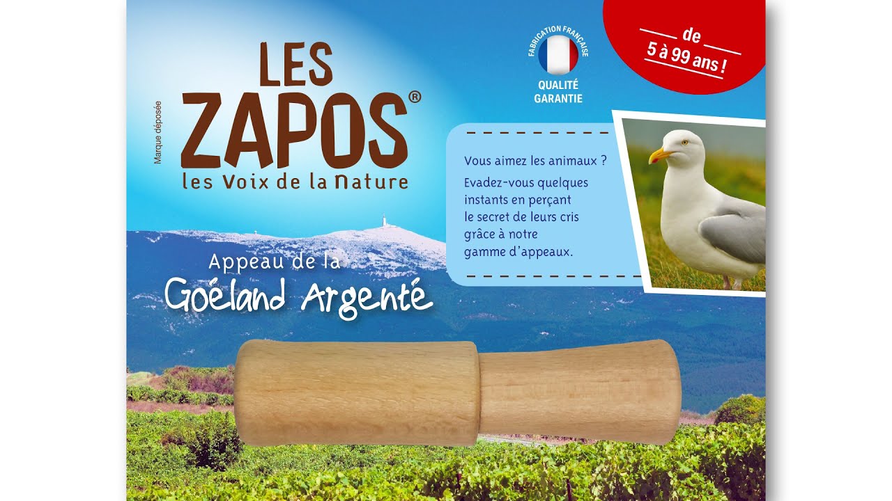 Appeau Goéland Argenté Fuzeau – Imitation Réaliste Du Chant – En Bois Verni, Fabriqué En France – Dès 4 Ans - 5